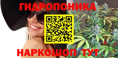 хмурый Свободный